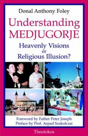 Understanding Medjugorje : heavenly visions or religious illusion?