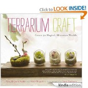 Terrarium craft by Amy Bryant Aiello