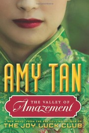 Cover of: The valley of amazement by 