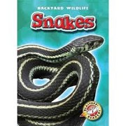 Cover of: Snakes: (Blastoff Readers: Backyard Wildlife)