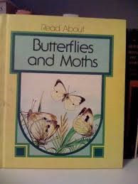 Butterflies and moths