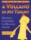 Cover of: Volcano in my tummy
