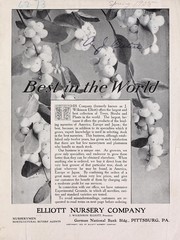 Cover of: Special and import prices for Spring of 1905: [best in the world]