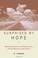 Cover of: Surprised by Hope