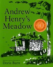 Cover of: Andrew Henry's meadow