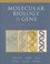 Cover of: Molecular biology of the gene
