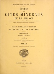 Cover of: Bassin houiller et permien de Blanzy et du Creusot  by Frédéric Delafond , René Zeiller