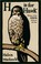 Cover of: H Is for Hawk