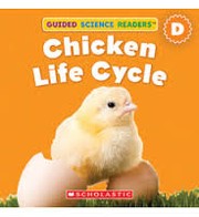 Cover of: Chicken and Egg