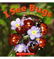 Cover of: I See Bugs by 