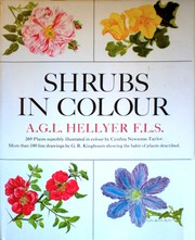 Cover of: Shrubs in colour: an amateur gardening encyclopaedia