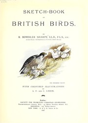 Cover of: Sketch-book of British birds