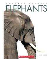 Cover of: Amazing Animals: Elephants by 