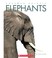 Cover of: Amazing Animals: Elephants