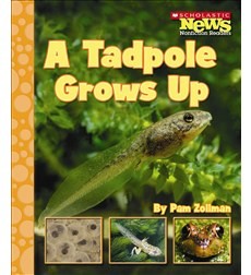 A tadpole grows up