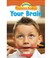 Cover of: Your Brain