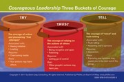 Cover of: The Courageous Leader Card