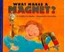 Cover of: What Makes a Magnet
            
                Lets ReadAndFindOut Science