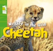 Cheetah by Mick Posen