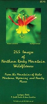 Cover of: 265 Images of Northern Rocky Mountains Wildflowers