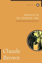 Cover of: Manchild In The Promised Land