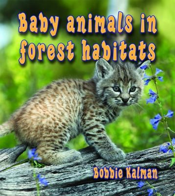 Baby Animals In Forest Habitats by