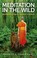Cover of: Meditation In The Wild Buddhisms Origin In The Heart Of Nature