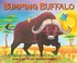Cover of: Bumping Buffalo
