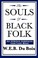 Cover of: The Souls of Black Folk an African American Heritage Book