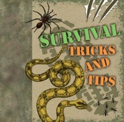 Cover of: Survival Tricks And Tips