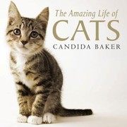 Cover of: The Amazing Life Of Cats