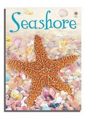 Cover of: Seashore
            
                Usborne Beginners