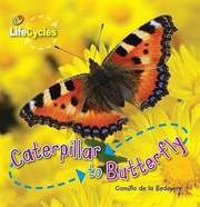 Caterpillar to butterfly by Camilla De la Bédoyère