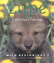 Cover of: Lupe: A Wolf Cub's First Year (Wild Beginnings Series)