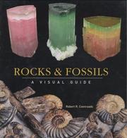Cover of: Rocks and Fossils: A Visual Guide (Visual Guides)