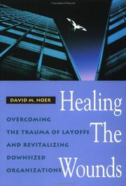 Cover of: Healing the Wounds by David M. Noer