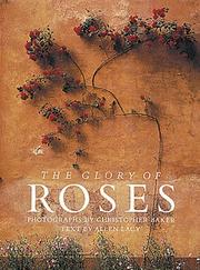 The glory of roses