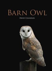 Cover of: Barn Owl David Chandler