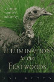 Cover of: Illumination in the flatwoods by Joe Hutto