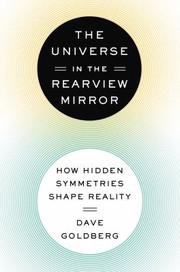 Cover of: The Universe In The Rearview Mirror How Hidden Symmetries Shape Reality