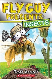 Cover of: Fly Guy Presents Insects