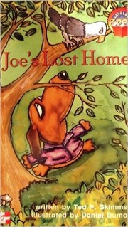 Cover of: Joe's lost home (Leveled books)