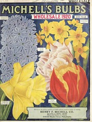 Cover of: Michell's bulbs: wholesale 1920, 31st year