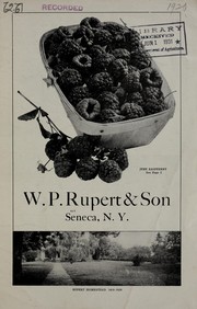 Cover of: W.P. Rupert & Son [catalog]