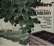 Cover of: Cazadero (Rubus Vitifolius) blackberry: fine flavored, bigger yield, easy to pick, grow anywhere