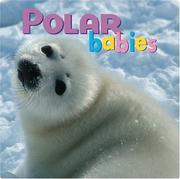 Cover of: Polar Babies