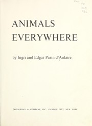 Cover of: Animals everywhere
