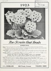 Cover of: 1923: the strain that leads