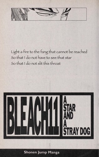 Bleach.