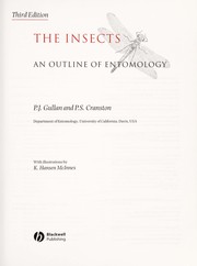 Cover of: INSECTS: AN OUTLINE OF ENTOMOLOGY